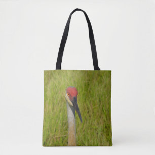 Niedlich Florida Sandhill Crane Bird Naturfotograf