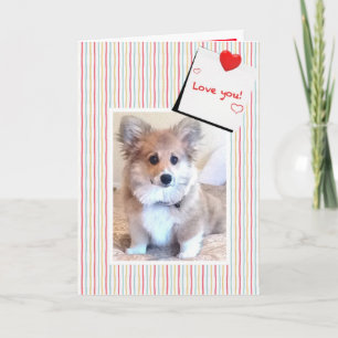 Niedlich Fluffy Corgi Valentine Feiertagskarte