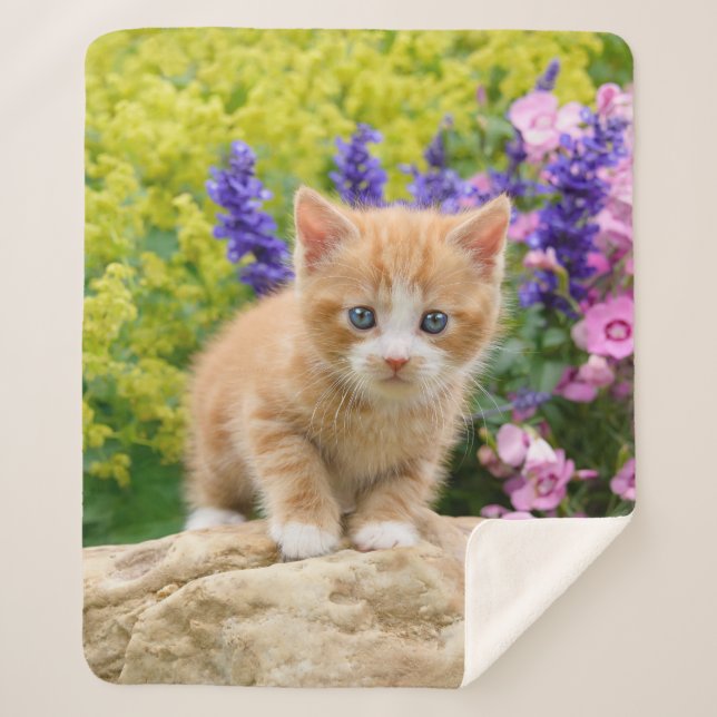 Niedlich Fluffy Ginger Baby Cat Kitten Blume Pet ' Sherpadecke (Vorderseite)