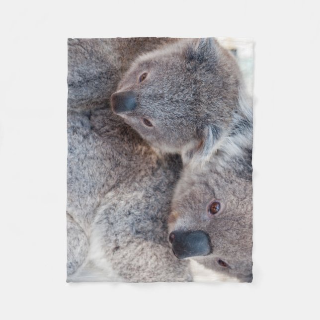 Niedlich Fluffy Gray Koalas Fleecedecke (Vorderseite)