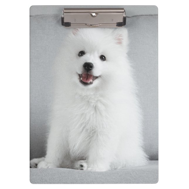 Niedlich fluffy Japanese Spitz Welppy Klemmbrett (Vorderseite)