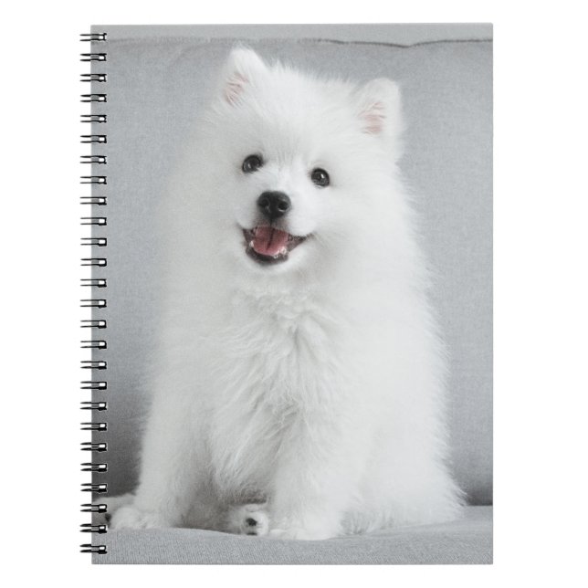 Niedlich fluffy Japanese Spitz Welppy Notizblock (Vorderseite)