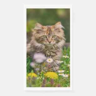 Niedlich Fluffy Maine Coon Kitten Cat Animal Foto  Serviette