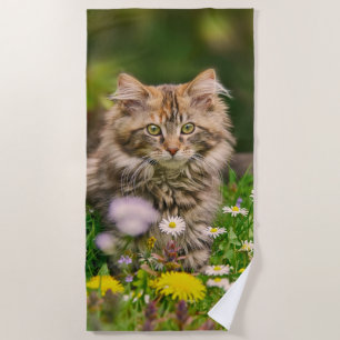 Niedlich Fluffy Maine Coon Kitten Cat in Blume Fot Strandtuch