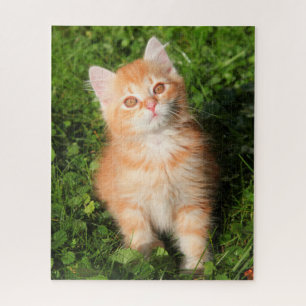Niedlich Fluffy Orange Tabby Cat Kitten Puzzle
