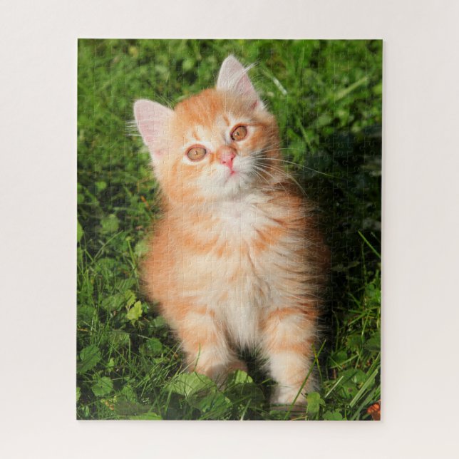Niedlich Fluffy Orange Tabby Cat Kitten Puzzle (Vertikal)