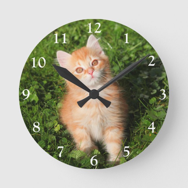 Niedlich Fluffy Orange Tabby Cat Kitten Runde Wanduhr (Vorderseite)