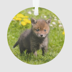 Niedlich Fluffy Red Fox Cub Wild Baby Animal - Ornament