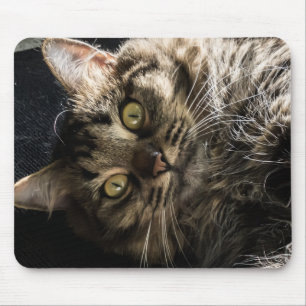 Niedlich Fluffy Tabby Cat Mousepad
