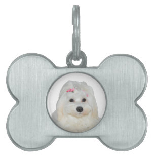 Niedlich Fluffy White Maltese Lili Tiermarke