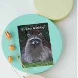 Niedlich Forest Raccoon Foto Funny Birthday Karte<br><div class="desc">Diese beliebte,  lustige Geburtstagskarte für alle präsentiert das Foto eines niedlichen Waldraccoon-Posts für die Kamera. Wählen Sie aus einer matten oder glänzenden Stilkarte.</div>