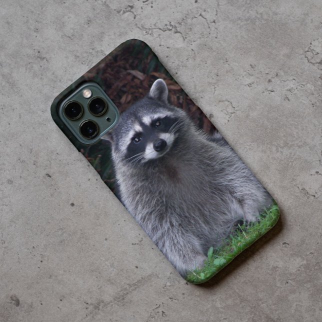 Niedlich Forest Raccoon Wildlife Foto Case-Mate iPhone Hülle (In Situ)