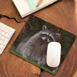 Niedlich Forest Raccoon Wildlife Foto Mousepad