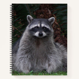Niedlich Forest Raccoon Wildlife Foto Notebook Notizbuch