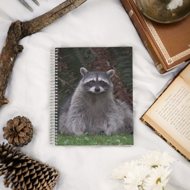 Niedlich Forest Raccoon Wildlife Foto Notebook Notizbuch (In Situ)