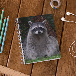 Niedlich Forest Raccoon Wildlife Foto Notizblock