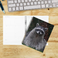 Niedlich Forest Raccoon Wildlife Foto
