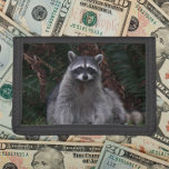 Niedlich Forest Raccoon Wildlife Foto Tri-fold Geldbeutel<br><div class="desc">Sicheres Geld und Kreditkarten mit dieser Brieftasche,  die das Foto-Bild eines niedlichen Waldracoon posiert für die Kamera. Wählen Sie Ihre Portemonnaie aus.</div>