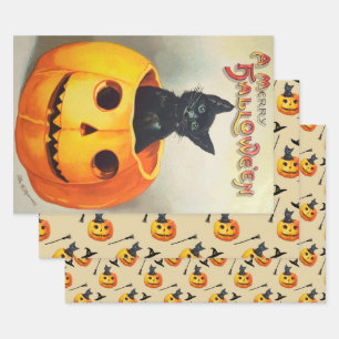Niedlich Friendly Black Cat sitzend in einem Pumpk Geschenkpapier Set