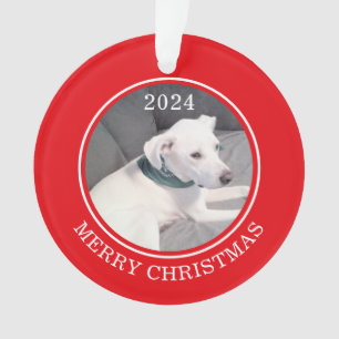 Niedlich Frohe Weihnachten Weißer Hund Foto Rote R Ornament