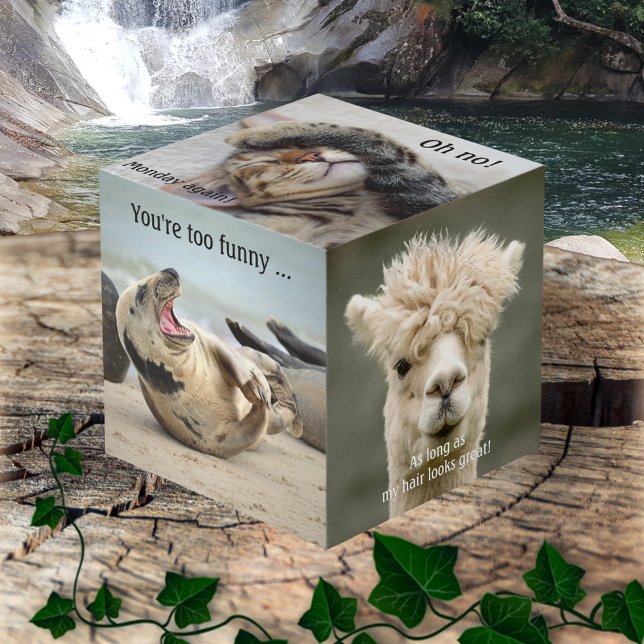 Niedlich Funny Animal Foto Cube Würfel (Photo cube featuring images of funny animals with humorous texts)
