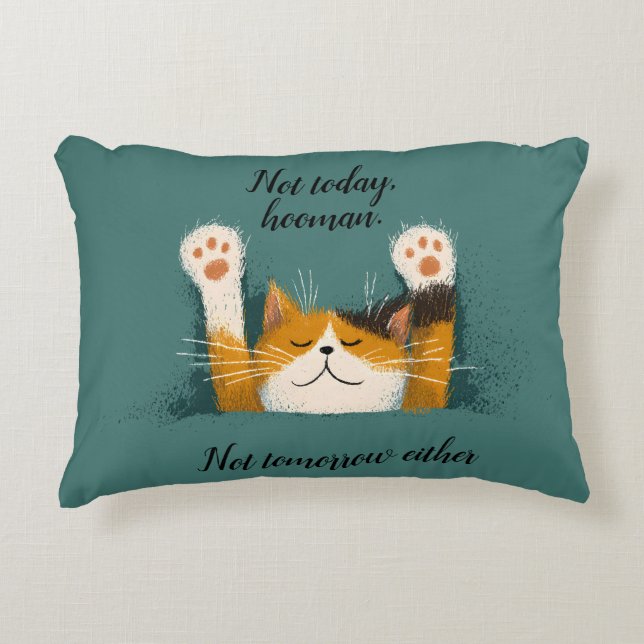 Niedlich Funny Cat Nickerchen Dekokissen (Vorderseite)