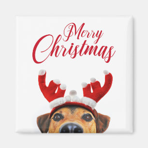 Niedlich Funny Christmas Hund Rentier Antler Headb Magnet