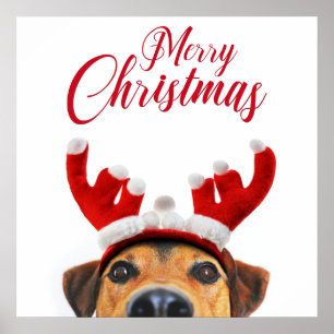 Niedlich Funny Christmas Hund Rentier Antler Headb Poster