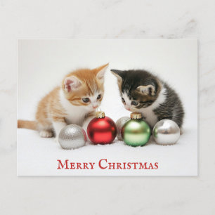 Niedlich Funny Frohe Weihnachts Kitten Cat Postkarte