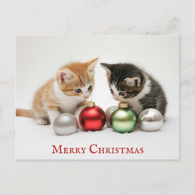 Niedlich Funny Frohe Weihnachts Kitten Cat Postkarte (Vorderseite)