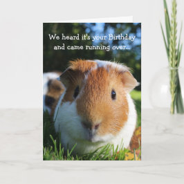 Niedlich Funny Guinea Pig Geburtstag Karte