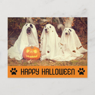 Niedlich Funny Halloween Ghost Dog Postkarte