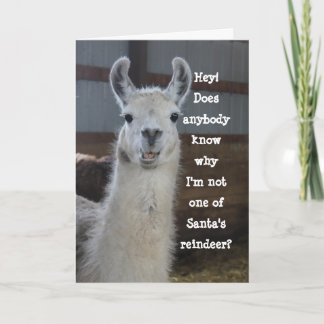 Niedlich Funny Humour Llama Frohe Weihnachten Karte