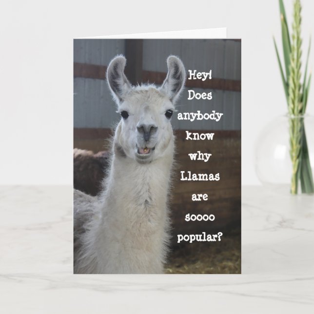 Niedlich Funny Humour Llama Geburtstag Karte (Vorderseite)