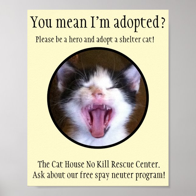 Niedlich Funny Kitten Foto Adoptierte eine Shelter Poster (Vorne)