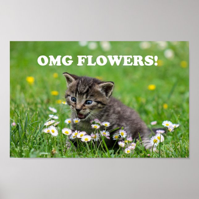 Niedlich Funny Kitten Liebende Blume Poster (Vorne)