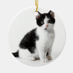 Niedlich Funny Pellet Kätzchen Schwarz-Weiß Katz Keramik Ornament