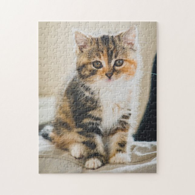 Niedlich Fuzzy Calico Tabby Kitten Cat Foto Puzzle (Vertikal)