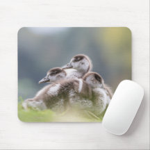 Niedlich Gänseküken Foto Mouse Pad