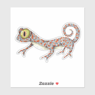 Niedlich Gecko Illustriert Aufkleber