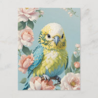 Niedlich Gelb und Blau Budgie Parakeet Bird