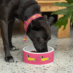 Niedlich Gelbe und rosa Dackel Hund Funny Napf