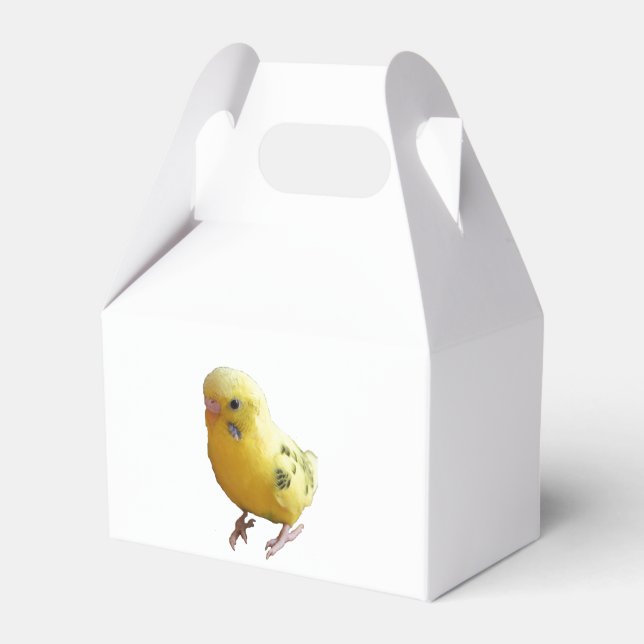 Niedlich-Gelbes Parakeet Freundliches Pet Bird Fot Geschenkschachtel (Vorderseite)