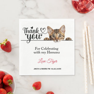 Niedlich gestricheltes Katzenpapier Napkins Serviette