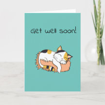 Niedlich Get Well bald Calico kitty