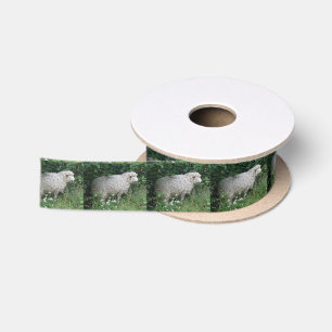 Niedlich gierige Schafe essen Ribbon Satinband