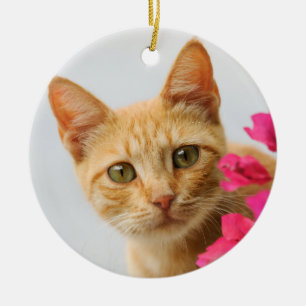 Niedlich Ginger Cat Kitten beobachtet Foto - Keramikornament