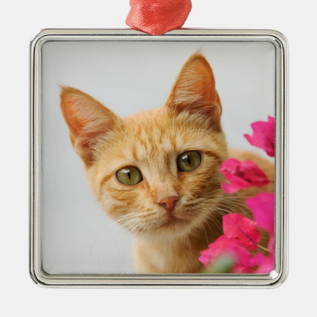 Niedlich Ginger Cat Kitten beobachtet Sie beim Fot Ornament Aus Metall (Vorne)