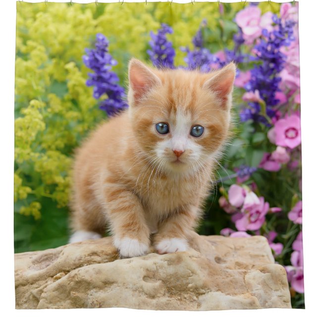 Niedlich Ginger Cat Kitten Blumengarten Portrait T Duschvorhang (Vorderseite)