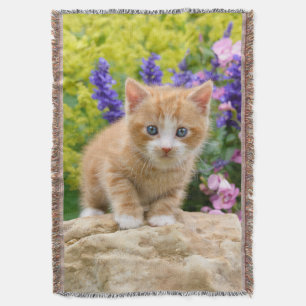 Niedlich Ginger Cat Kitten Flower Garden Foto - Decke